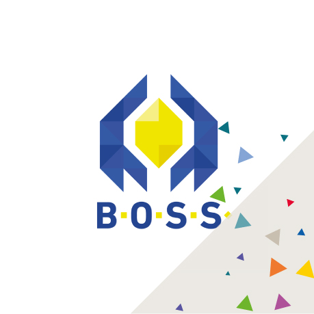 BOSS (Business Opportunity Self-Assessment Methodology)